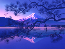 富士山　鴨　湖　朝　あけぼの　雪　日本一　逆さ